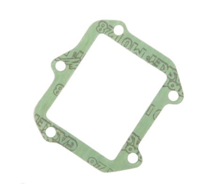 GASKET REED V.PLATE V-FORCE 04 50330098050