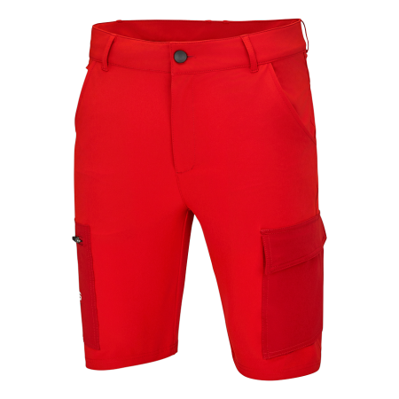 Team Shorts 3GG25002260X